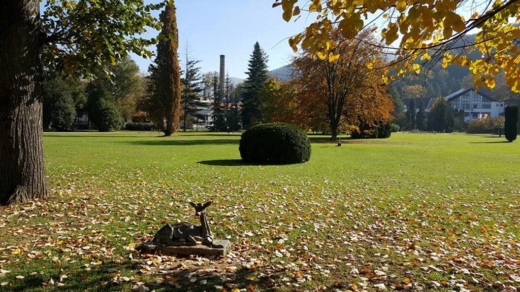 Hotel Royal Spa Banja Koviljača Eksteriør bilde